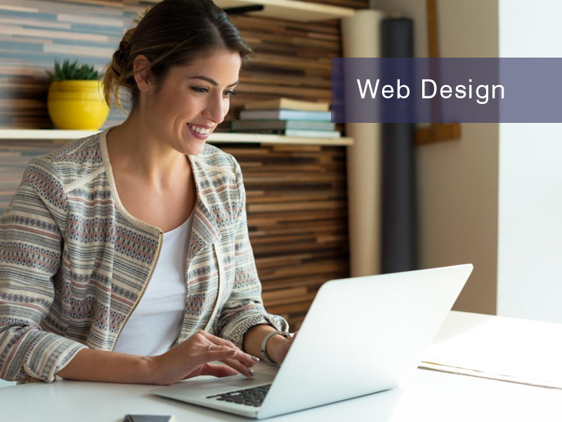 Web Designer Biddulph